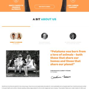 Лендинг корма для собак. Пример