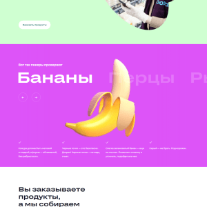 Лендинг доставки продуктов из магазинов. Пример